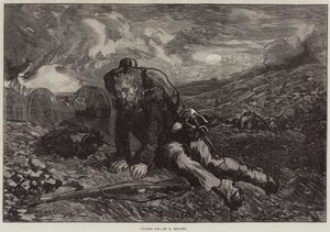 Ovårdad